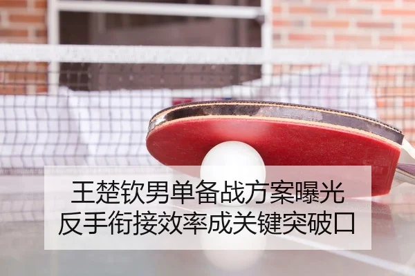 王楚钦男单备战方案曝光 反手衔接效率成关键突破口