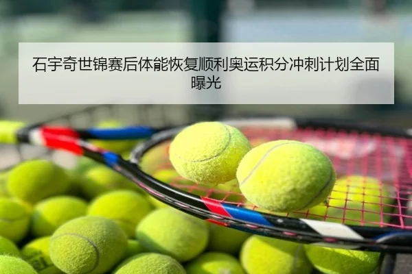 石宇奇世锦赛后体能恢复顺利奥运积分冲刺计划全面曝光